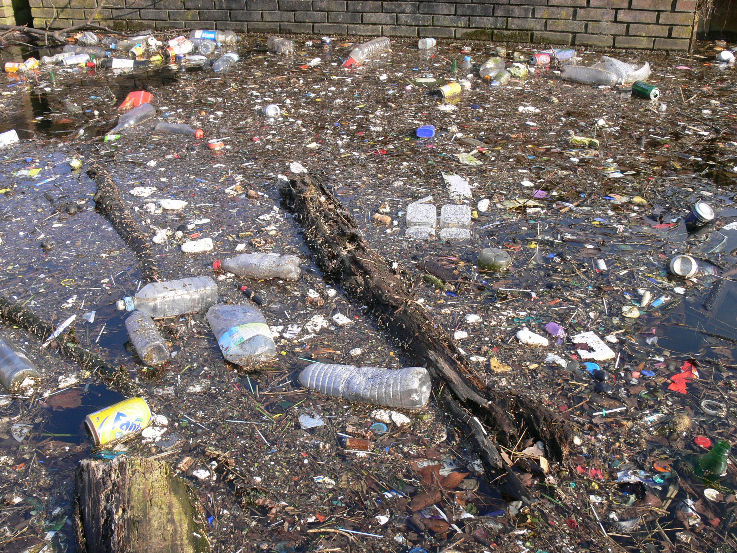 essay on environmental pollution for kids Environmental pollution in india essay for kids environmental pollution refers to the introduction of harmful pollutants into the environment. essay on environmental pollution for kids Environmental pollution in india essay for kids environmental pollution refers to the introduction of harmful pollutants into the environment.