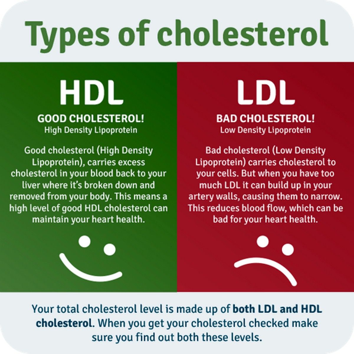 Know You Good And Your Bad Fats HDL Plant Based Fats Vs LDL Animal 