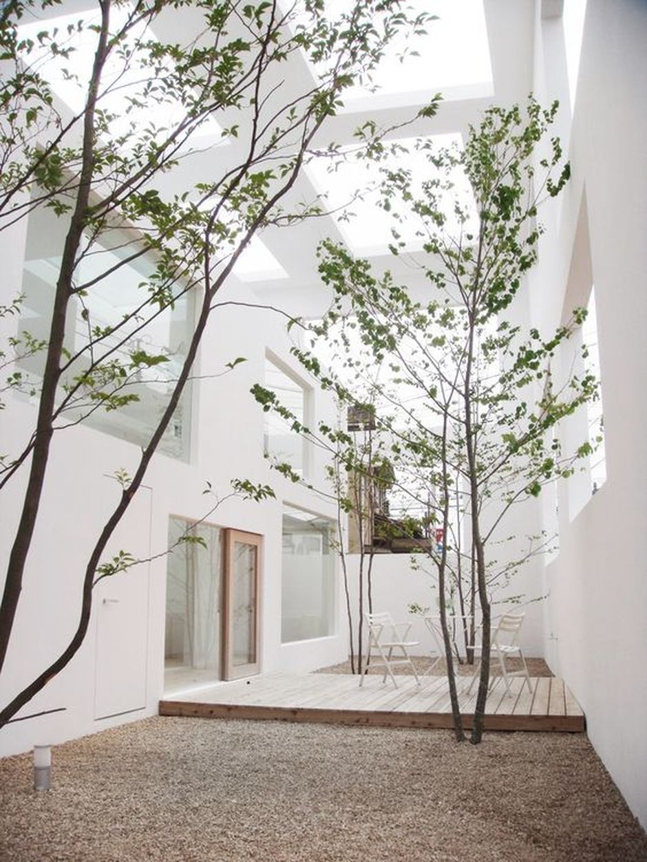 Amazing artistic tree inside house interior designs
