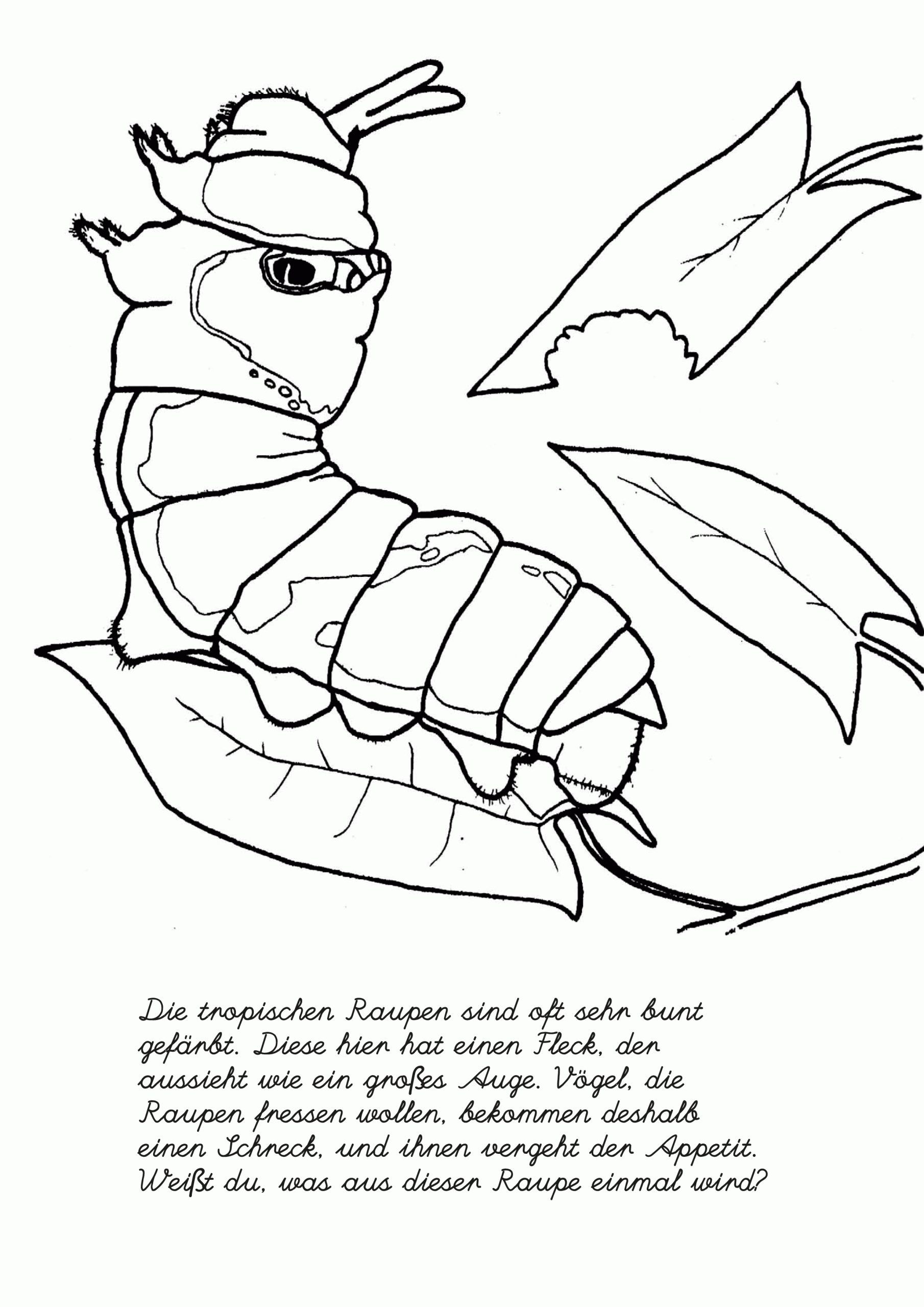 Bastel Und Malvorlagen in 10 Malvorlagen, Vorlagen Bastel Und Malvorlagen in 10 Malvorlagen, Vorlagen