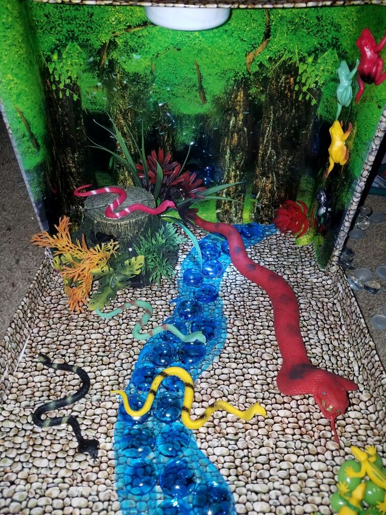 snake diorama project kids pinterest dioramas school and