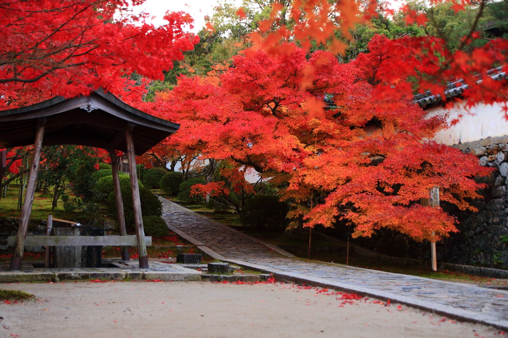 Oltar Obklopeny Podzimni Barvou A Obchodem S Vodou 寺 紅葉 紅葉 絶景 日本庭園 Oltar Obklopeny Podzimni Barvou A Obchodem S Vodou 寺 紅葉 紅葉 絶景 日本庭園