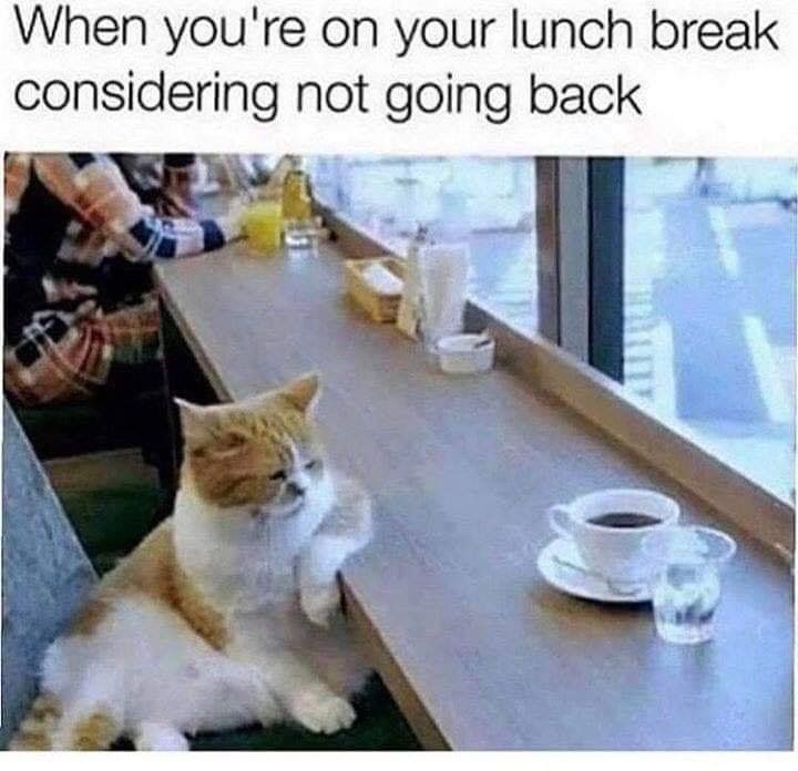 office chat meme office chat meme