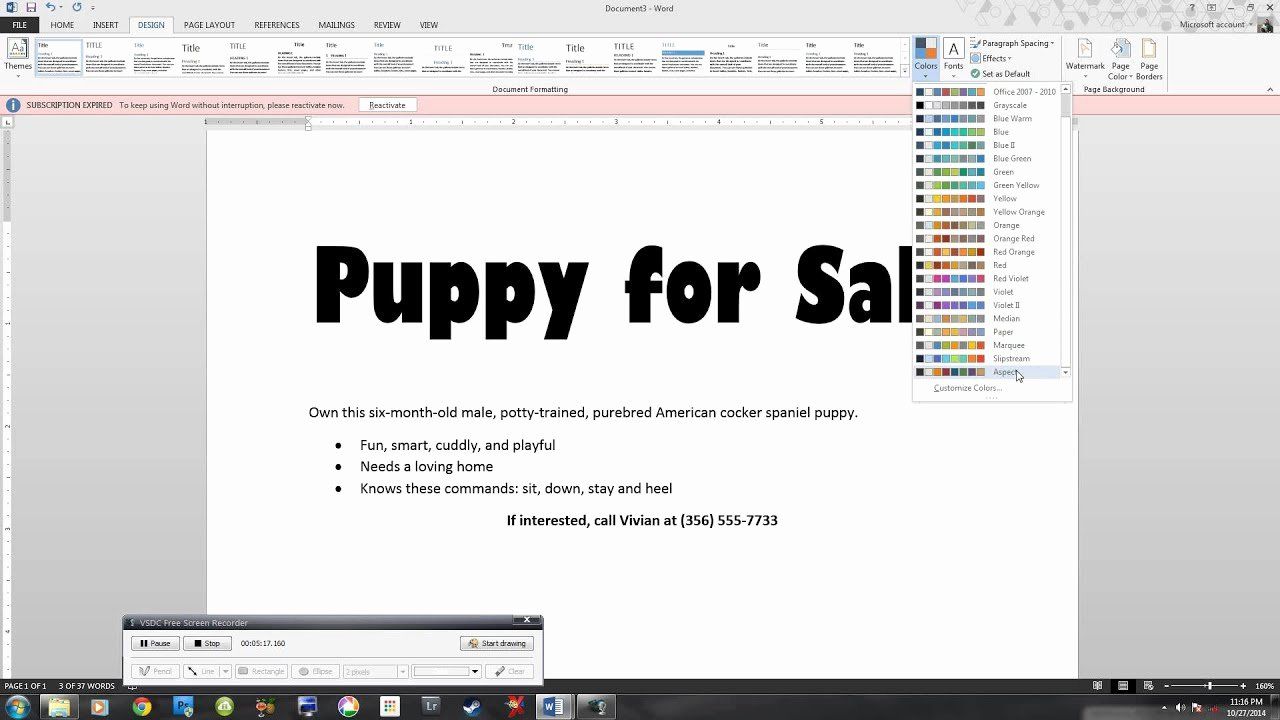Pets Shop Care Flyer Templates
