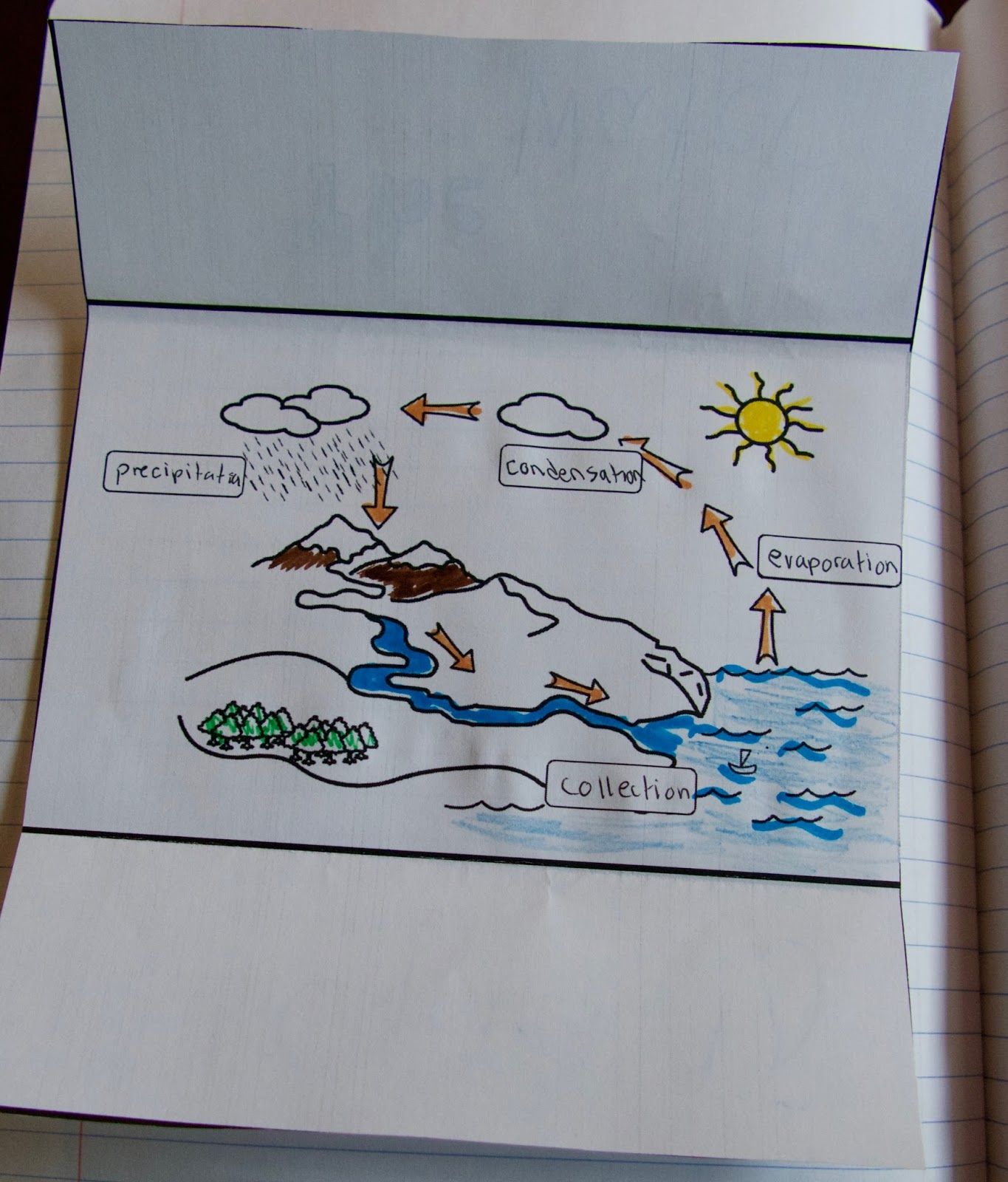 The Water Cycle in a Baggie with Interactive Notebook