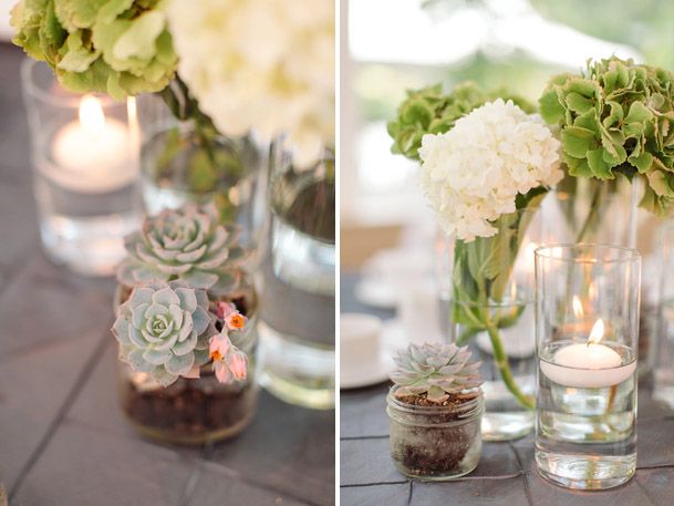 Blue Succulents Wedding Succulent Centerpiece Green Succulent