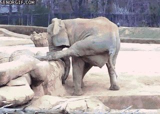 55acb55f8515d3c7444f56a973c1edb7.gif