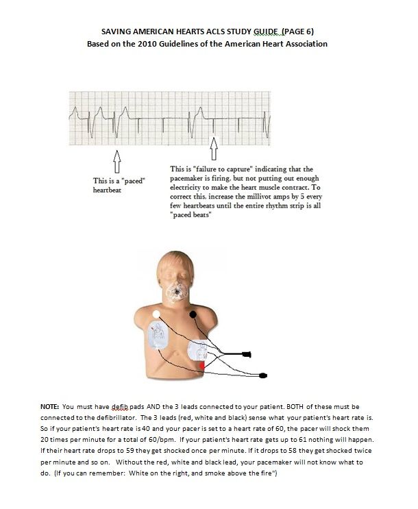 bls check off sheet bls check off sheet