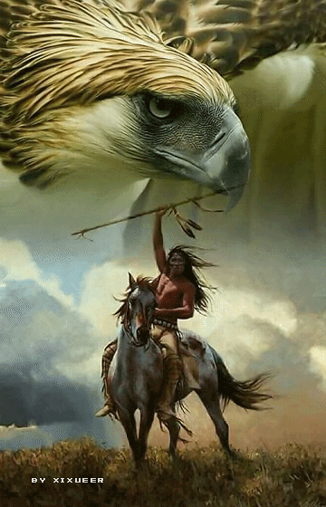 Bienvenidos al nuevo foro de apoyo a Noe - Página 26 55bc4cc8f9526338457e6a1a890f9db0