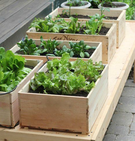 Vinkasser trækasser som plante og blomsterkasser til have, altan ... Indretningsideer kontor