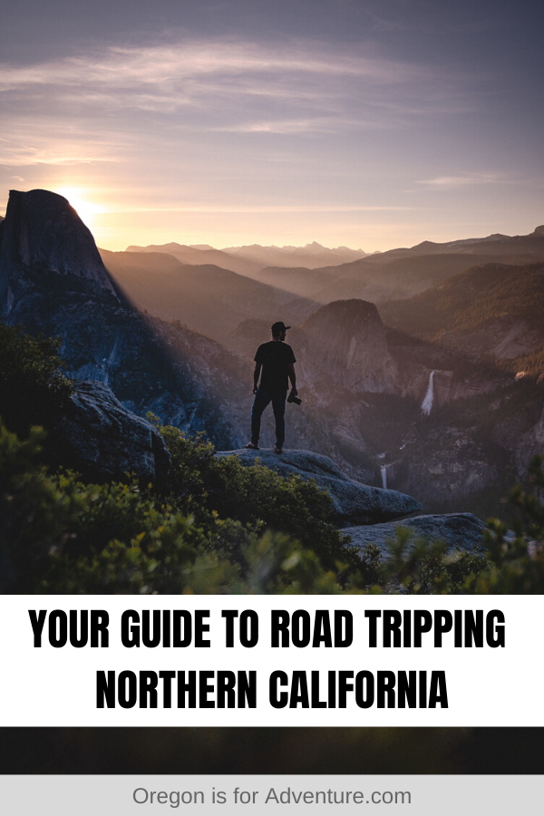 Northern California may not be as visited as the south of the state, but if you are a nature lover, we think it's better - it is so beautiful there! The best way to experience Northern California is by road trip, that way you can stop off along the way to take photos or hike. Check out our detailed guide to road tripping Northern California, and start planning. | Oregon is for Adventure #roadtrip #northerncalifornia #travelguide Northern California Road Trip, California Road Trip Itinerary, Usa Travel Guide, California Travel Road Trips, California Coast, Travel Usa, Travel Tips, California Dreaming, Travel Info