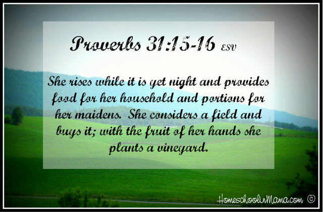 Raising Proverbs 31 Women Her Behavior Proverbs 31 15 16 raising-proverbs-31-women-her-behavior-proverbs-31-15-16