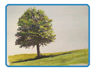 art instruction videos free Free watercolor instruction videos.