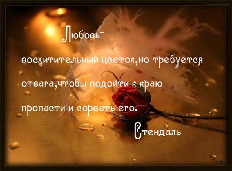 Афоризмы о любви Афоризмы о любви
