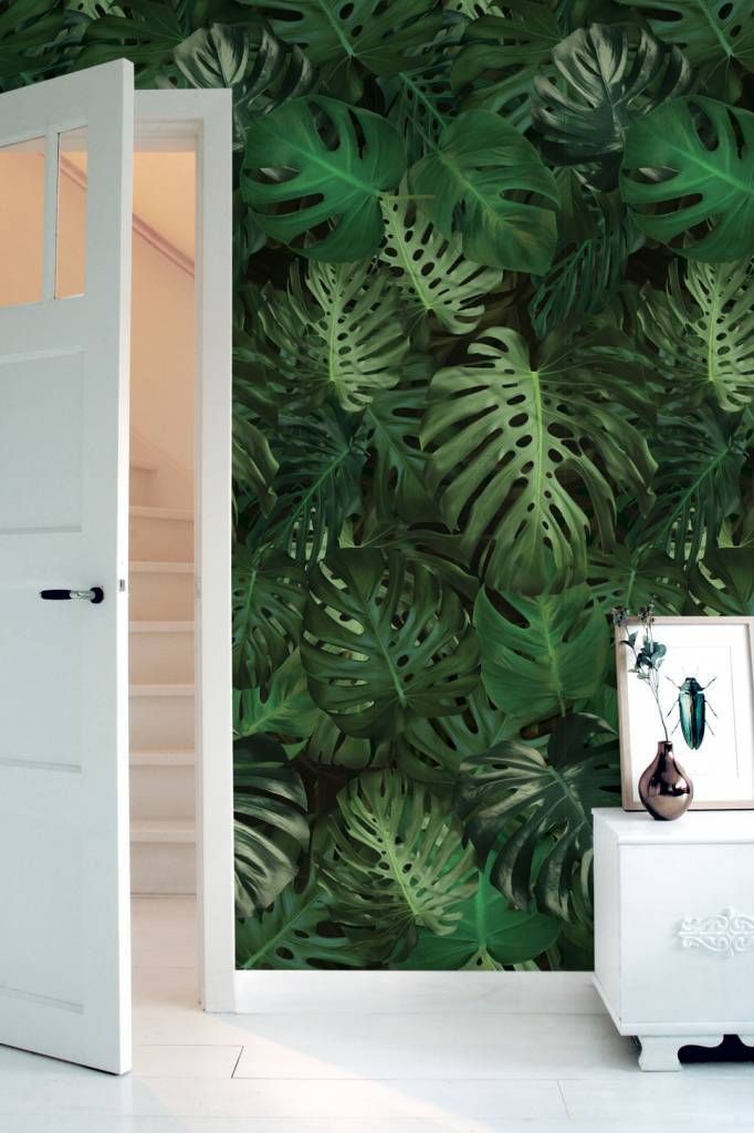 Botanical Tapete Monstera - KEK Amsterdam