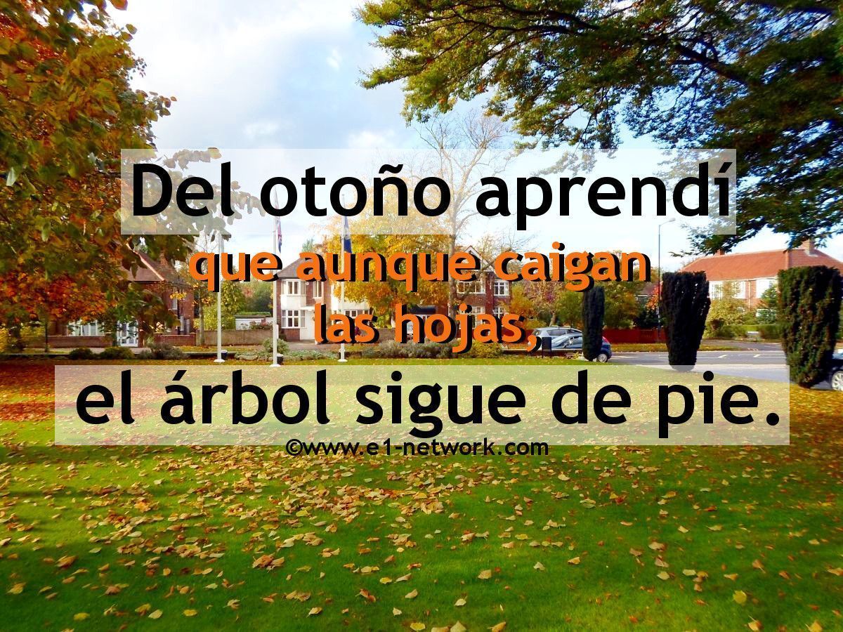 ¡Bienvenido Otoño! #otoño #frases #árbol #hojas #bienvenidootoño ¡Bienvenido Otoño! #otoño #frases #árbol #hojas #bienvenidootoño ¡Bienvenido Otoño! #otoño #frases #árbol #hojas #bienvenidootoño ¡Bienvenido Otoño! #otoño #frases #árbol #hojas #bienvenidootoño ¡Bienvenido Otoño! #otoño #frases #árbol #hojas #bienvenidootoño ¡Bienvenido Otoño! #otoño #frases #árbol #hojas #bienvenidootoño ¡Bienvenido Otoño! #otoño #frases #árbol #hojas #bienvenidootoño ¡Bienveni #bienvenidootoño