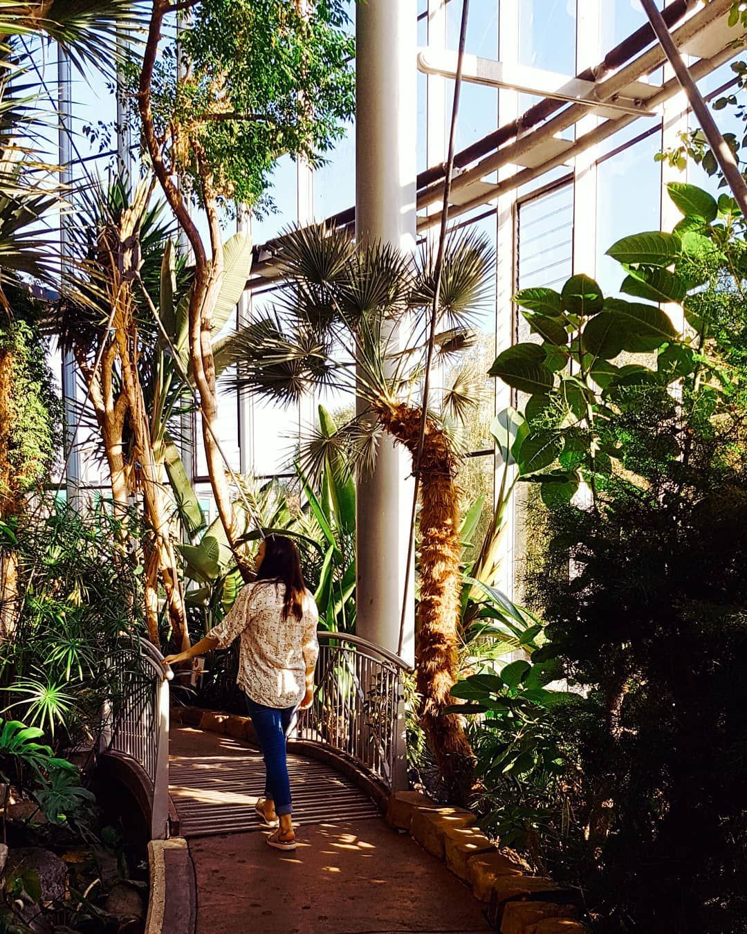 the jungle in the city can see me visiting here more often another little world so peaceful winter garden landscape garden winter garden balcony on the jungle in the city can see me visiting here more often another little world so peaceful winter garden landscape garden winter garden
