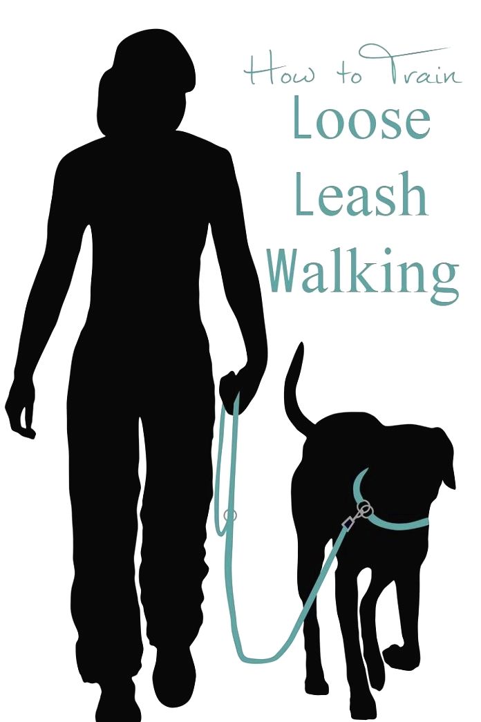 happydogtips rocks leash