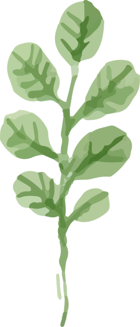 花多肉植物水彩花卉森系花朵图片flower Succulent Plant Watercolor Flower Sensation Flower Picture Plant Leaves Plants Image 花多肉植物水彩花卉森系花朵图片flower Succulent Plant Watercolor Flower Sensation Flower Picture Plant Leaves Plants Image