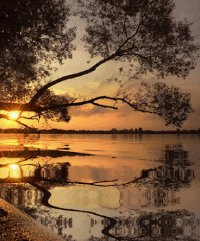 Ellen Tamme - Google+ | Nature gif, Beautiful nature, Nature