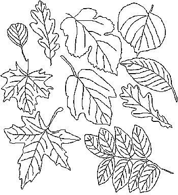 Download Leaves Bluework Set | Embroidery designs, Advanced ...