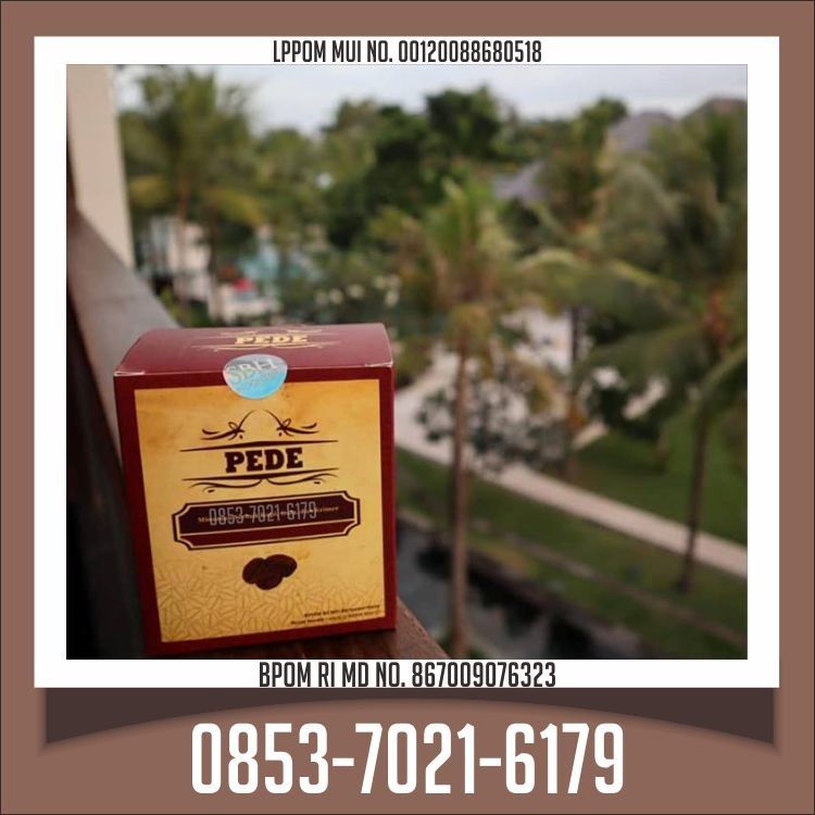 085370216179 DISTRIBUTOR Kopi Pede Purwaceng Dieng di