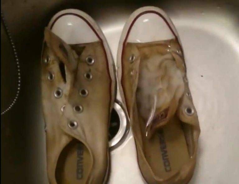 white converse washing under sink | How to clean white converse, White converse, Cleaning white