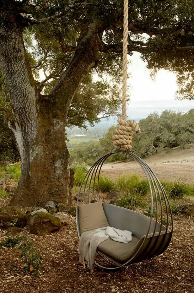 Tree Swing Want Dream Home Outdoor Garden Photos Tree Swing Want
