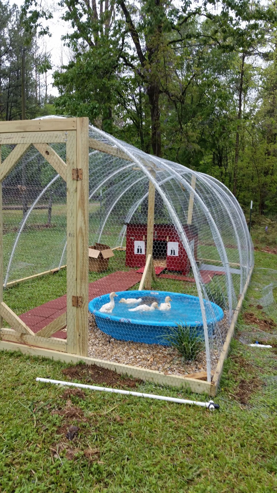 What do you wish you'd done differently with your duck housing? | Page 5 | BackYard Chickens - Learn How to Raise Chickens Backyard Chicken Coop Plans, Chicken Garden, Chicken Diy, Chicken Farm, Chicken Coop Pallets, Chicken Tractors, Small Chicken Coops, Easy Chicken Coop, Chicken Feeders