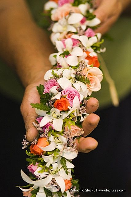 Pin By Yukiko On T R O P I C A L Hawaiian Lei Hawaii Pictures Hawaiian Flowers Pin By Yukiko On T R O P I C A L Hawaiian Lei Hawaii Pictures Hawaiian Flowers