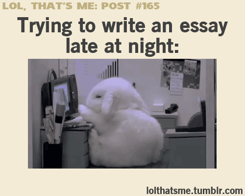 Trying To Write An Essay Late At Night Trying To Write An Essay Late At Night