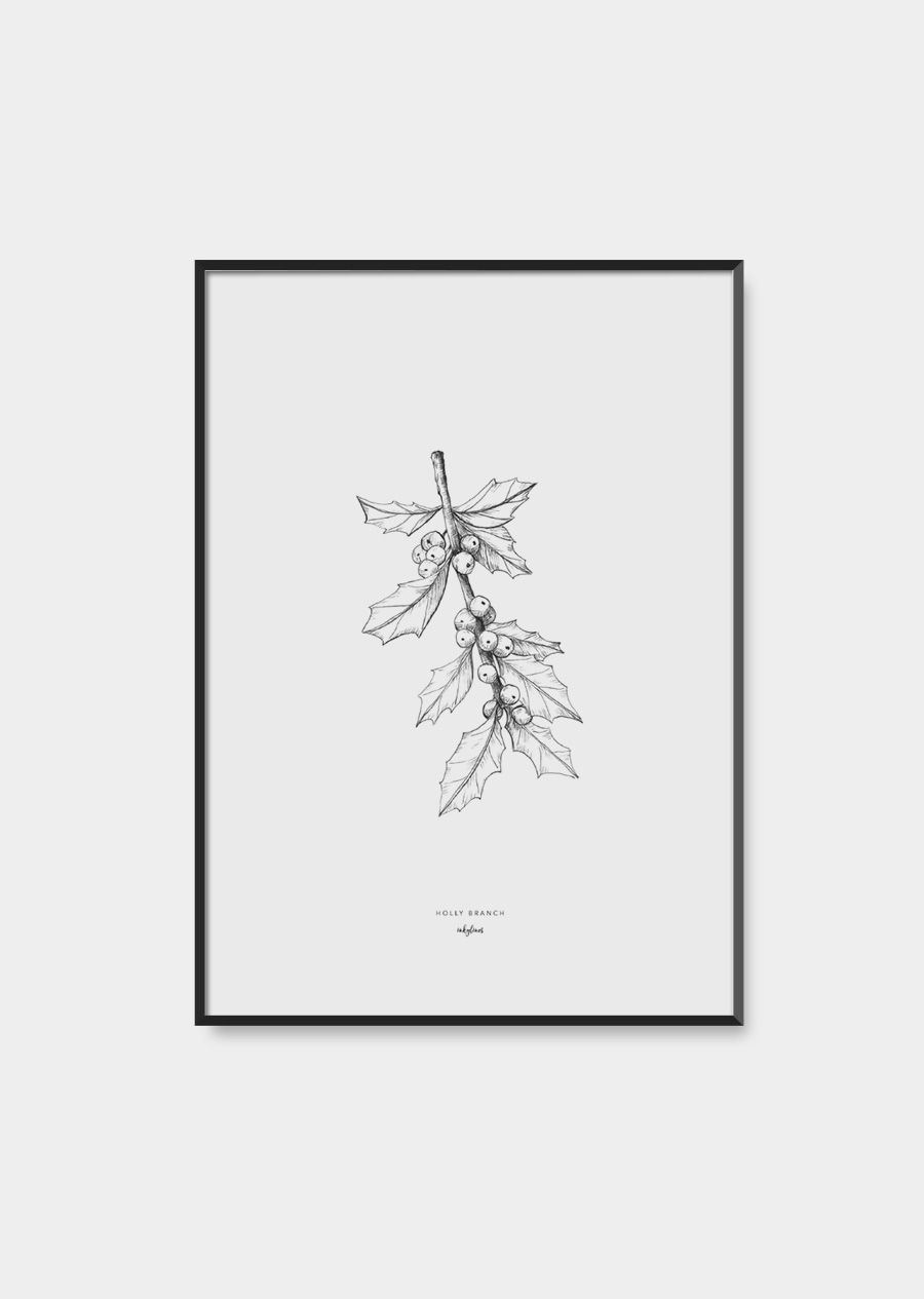 Plants Holly branch Tree line drawing, Black pen drawing, Botanical