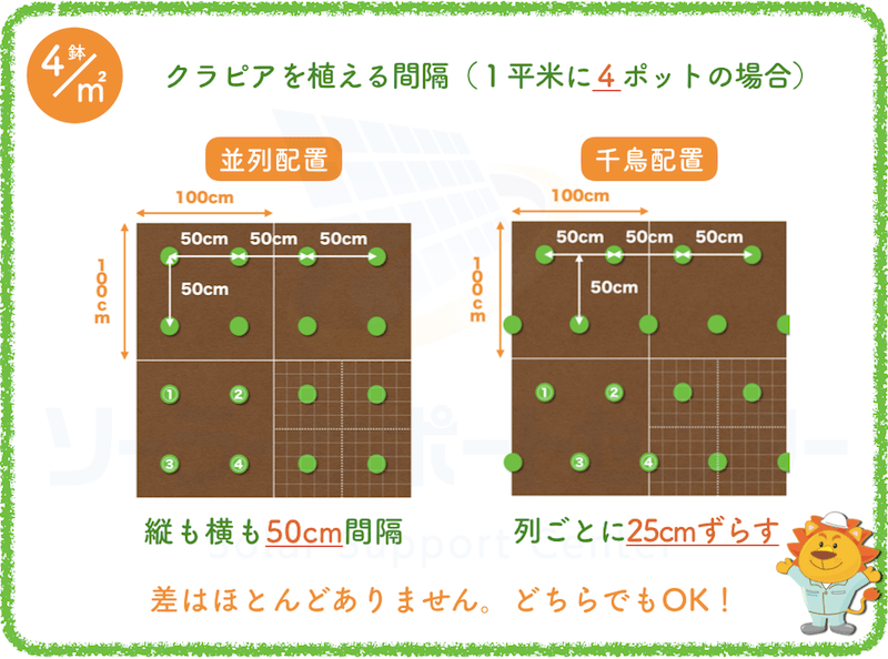 クラピアの植栽間隔 クラピア お庭 庭 クラピアの植栽間隔 クラピア お庭 庭