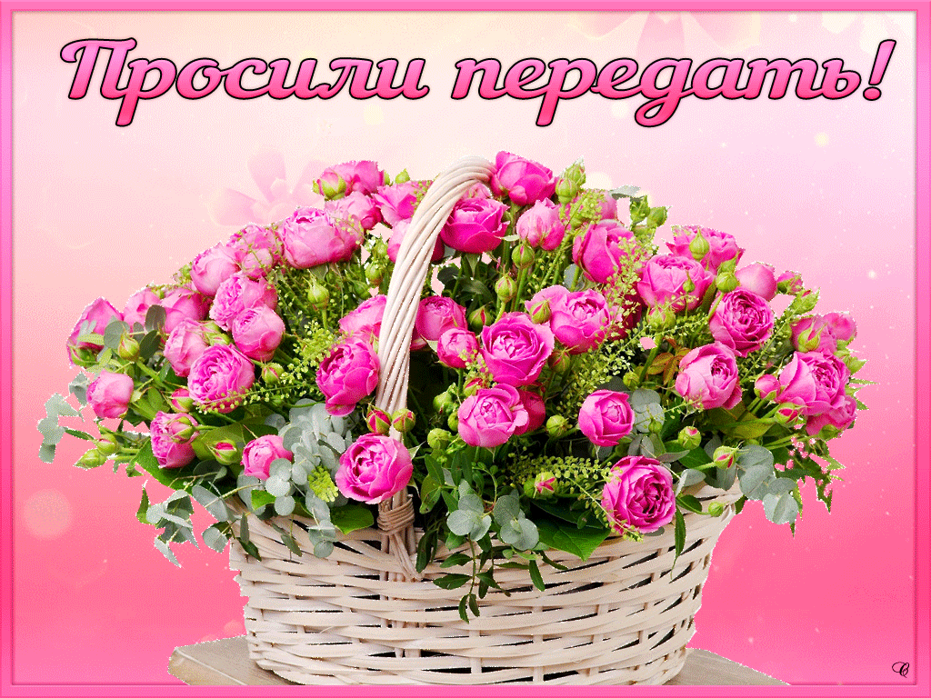 Передать поздравления Передать поздравления
