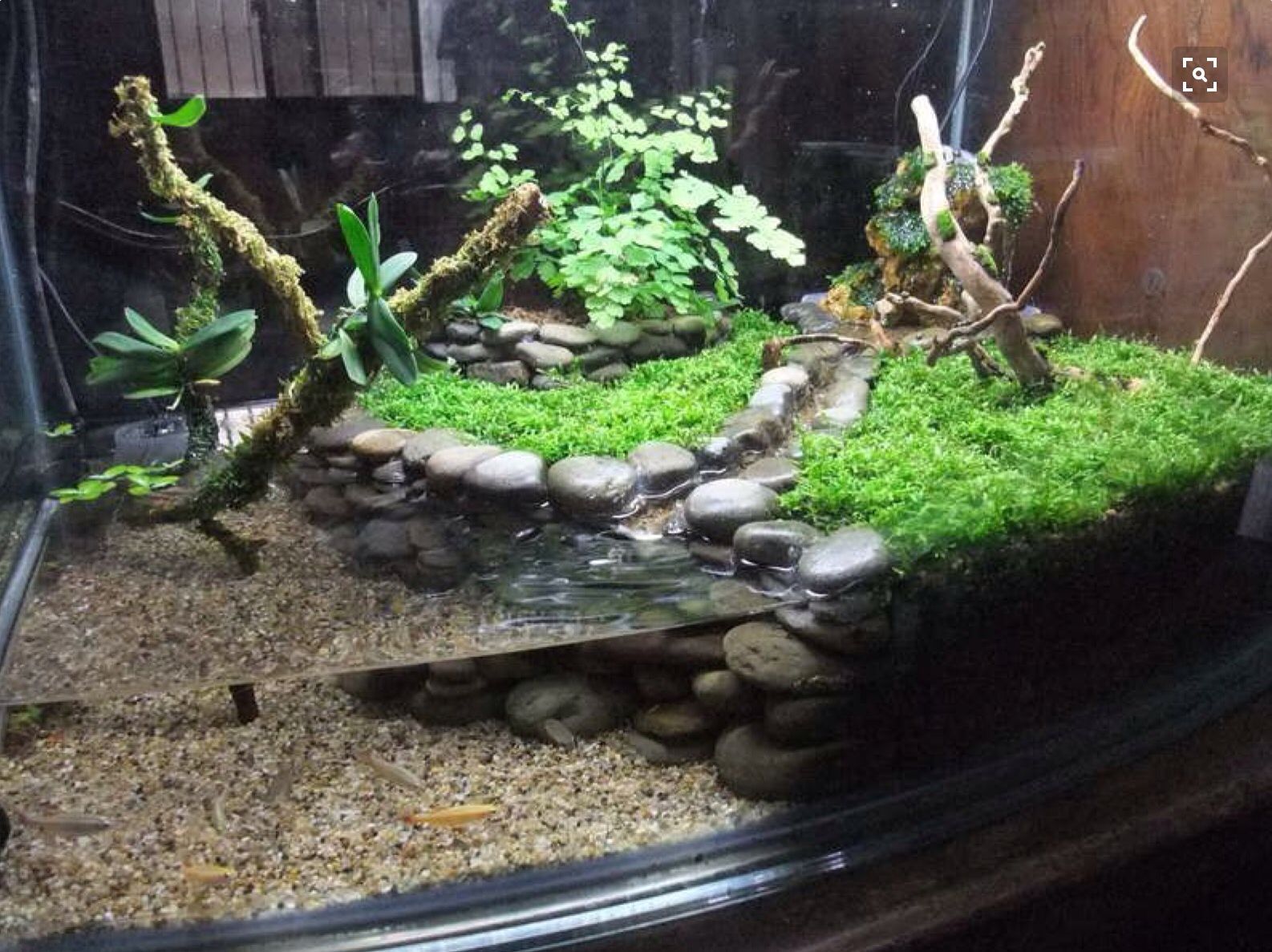 Turtle Tank Turtle Terrarium Turtle Tank Turtle Habitat turtle-tank-turtle-terrarium-turtle-tank-turtle-habitat