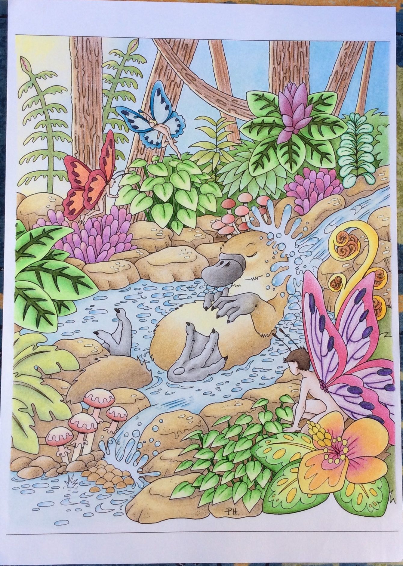 Kleurplaat getekend door (drawing by) Peta Hewitt Colored by Heleen