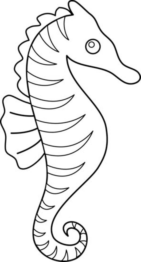Pin by Silke Althoff on Peacock coloring pages Horse coloring pages