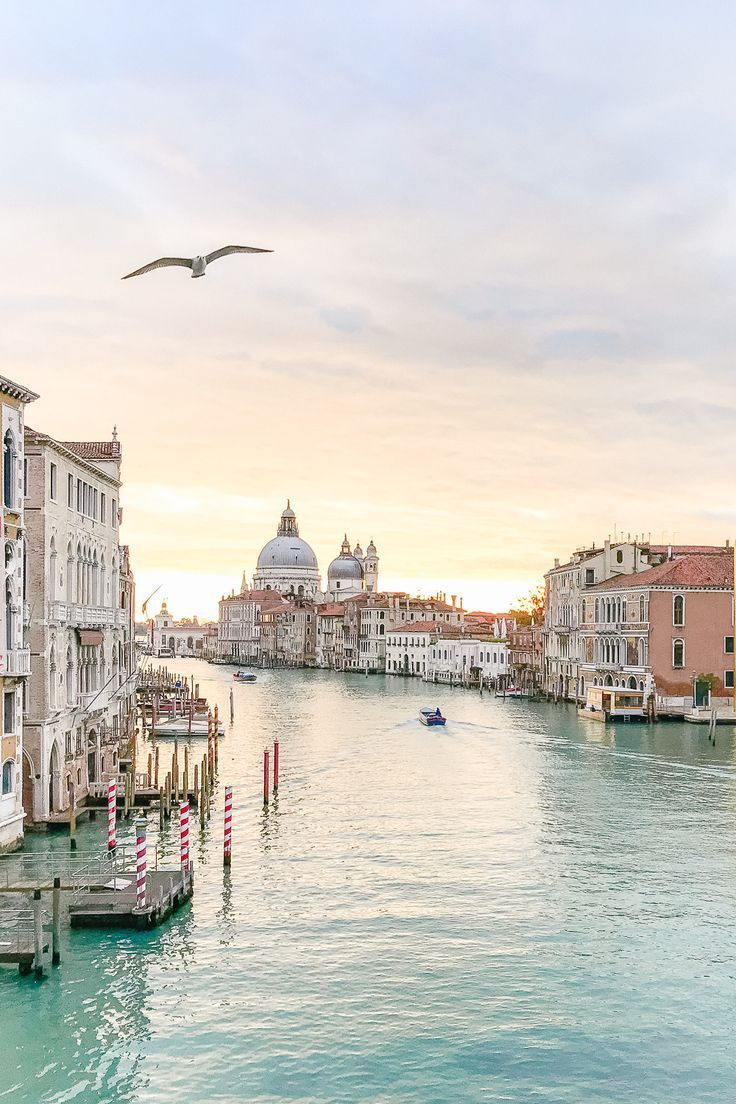 Travel tips for Venice Italy including recommendations for places to eat, getting around Venice, and photo tips. Read about my honeymoon trip to this amazing city with tips for a romantic and less stressful trip! Pictures of the Grand Canal, gondolas and St Mark's Square included. things to do in Venice | Venice itinerary | Venice travel | Venice Italy photography | Venice Instagram photos | Venice best views #venice #italy #europe #europetravel #travelguide Venice Italy Travel, Italy Travel Tips, Travel Destinations, Europe Travel Photos, Italy Aesthetic, Travel Aesthetic, Aesthetic Gif, Room Aesthetic, Aesthetic Grunge