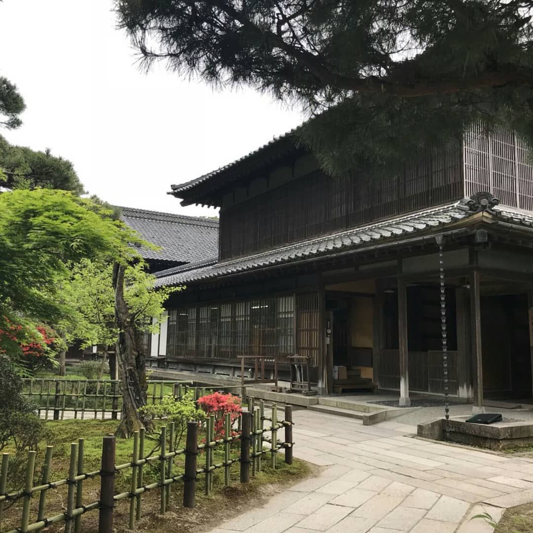雨模様なgwですが 北方文化博物館の藤の花はこんなにきれい Gw 北方文化博物館 藤の花 藤棚 雨 和裁 東亜和裁 Outdoor Decor Outdoor Decor 雨模様なgwですが 北方文化博物館の藤の花はこんなにきれい Gw 北方文化博物館 藤の花 藤棚 雨 和裁 東亜和裁 Outdoor Decor Outdoor Decor