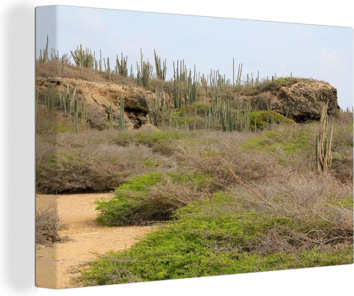 Een prachtige foto op het populaire eiland Curacao, waarop verschillende cactussen te zien zijn. Aangevuld met een blauwe hemel. Productkenmerken ✓ In verschillende formaten verkrijgbaar van klein (20x30 cm) tot XL (120x180 cm)✓ 98.9% van de klanten is positief over OneMillionCanvasses!✓ Gespannen op een houten frame van 2 cm dik✓ Optioneel is er een handig ophangsysteem bij te bestellen✓ Wanddecoratie geschikt voor uw: slaapkamer, woonkamer, kinderkamer, kantoor, hal, keuken en iedere andere k Country Roads, Structures, Prints, Poster, Products, Billboard, Gadget
