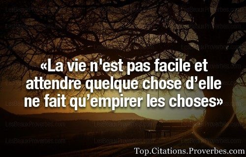 La Vie N Est Pas Facile Et Attendre Quelque Chose D Elle Ne Citation Pensee Pensees Positives Les Beaux Proverbes La Vie N Est Pas Facile Et Attendre Quelque Chose D Elle Ne Citation Pensee Pensees Positives Les Beaux Proverbes