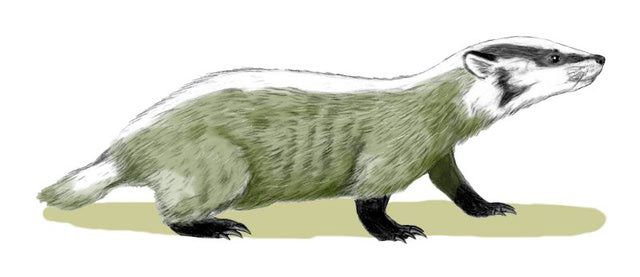 Cenozoic creatures ideas
