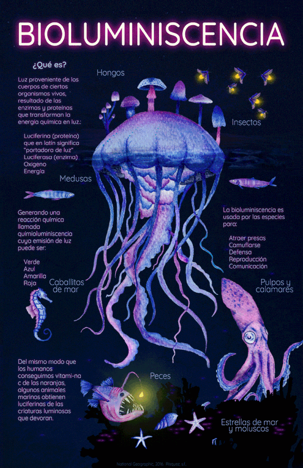 Marinha Wallpaper Biology Notes Science Notes Science Infographics marinha-wallpaper-biology-notes-science-notes-science-infographics