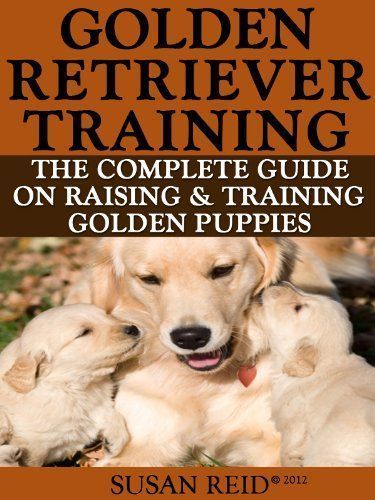 Golden Retriever Training Breed Specific Puppy Training