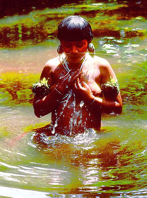 Amazon Tribes Women Bathing Amazon Tribes Women Bathing
