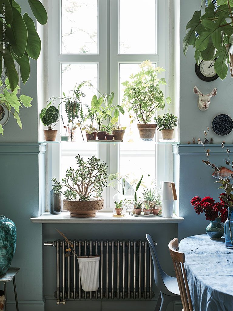 100+ bästa bilderna på Krukor & Växter | växter, krukor, ikea 100+ bästa bilderna på Krukor & Växter | växter, krukor, ikea