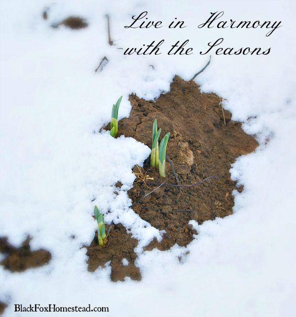 Big Freeze Will Last Until Friday When The Big Thaw Brings Floods Then Heavy Rainfall Is Set To Follow Winter Scenery Snow Pictures Winter Scenes