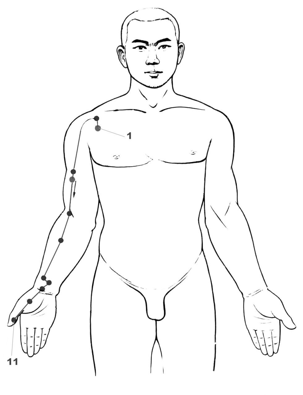 Lung Meridian | Acupressure, Acupuncture, Shiatsu massage