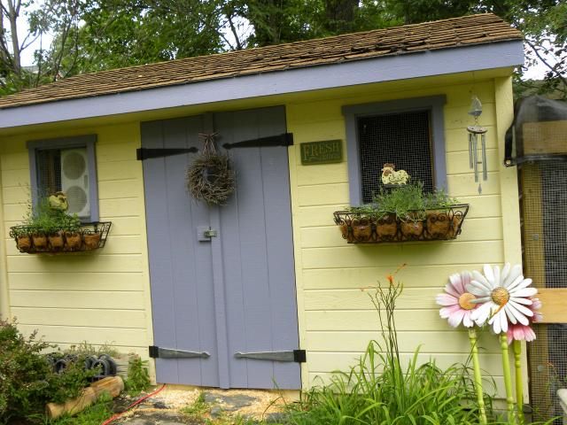 Serenitynhs Chicken Coop Chickens Pinterest Coops, Chickens http://www.backyardchickens.com/forum/uploads/81900_chickens_090. - Serenitynhs Chicken Coop Chickens Pinterest Coops, Chickens