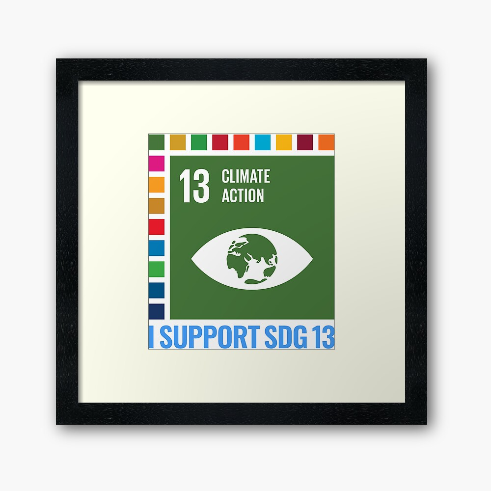 I Support Sdg 13 Climate Action Pullover Hoodie By Tshirtdesignhub In 2021 Climate Action Supportive Climates